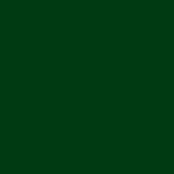 b-dark-green